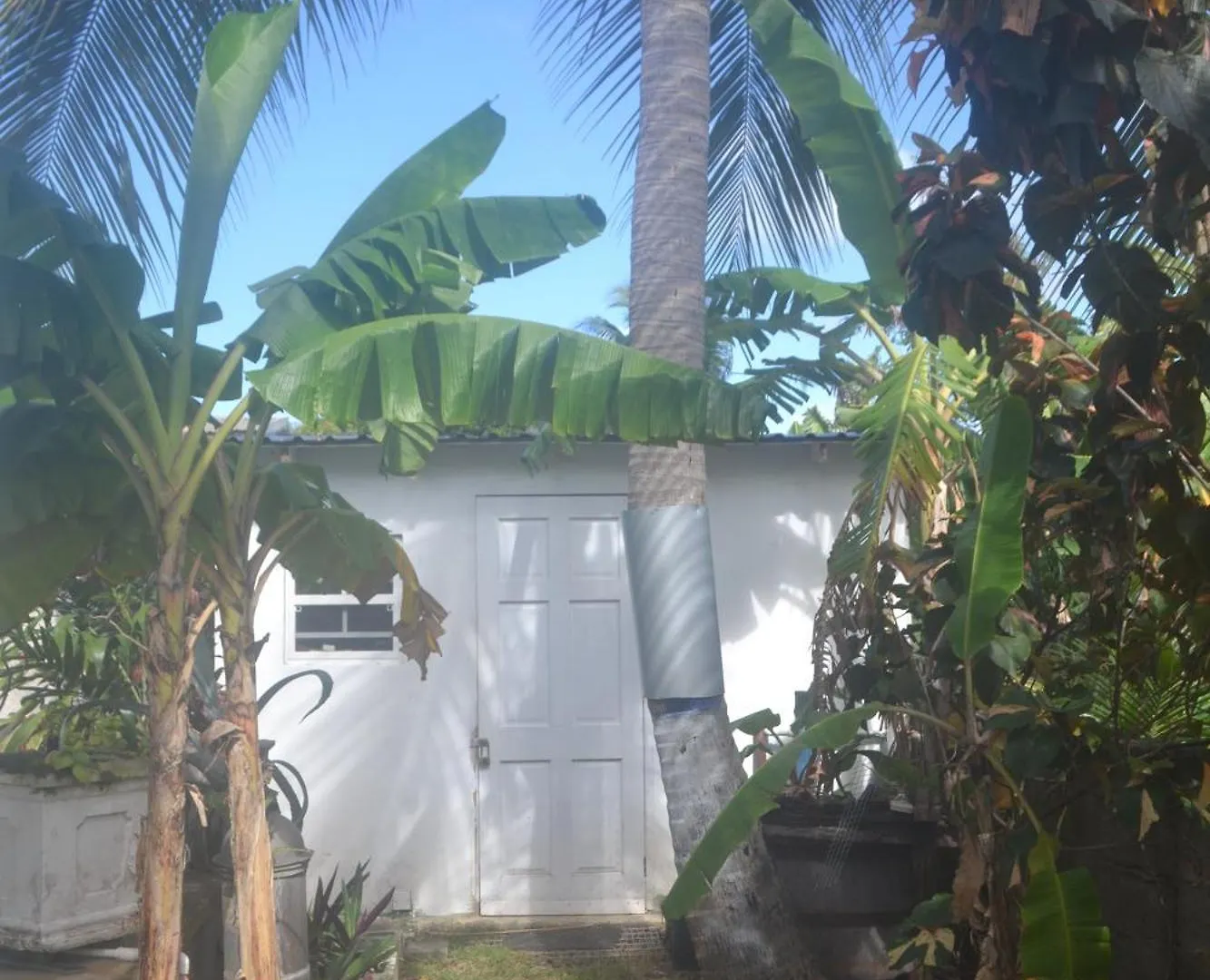 Cozy Tropical Escape No 112 Apartment Saint Peter