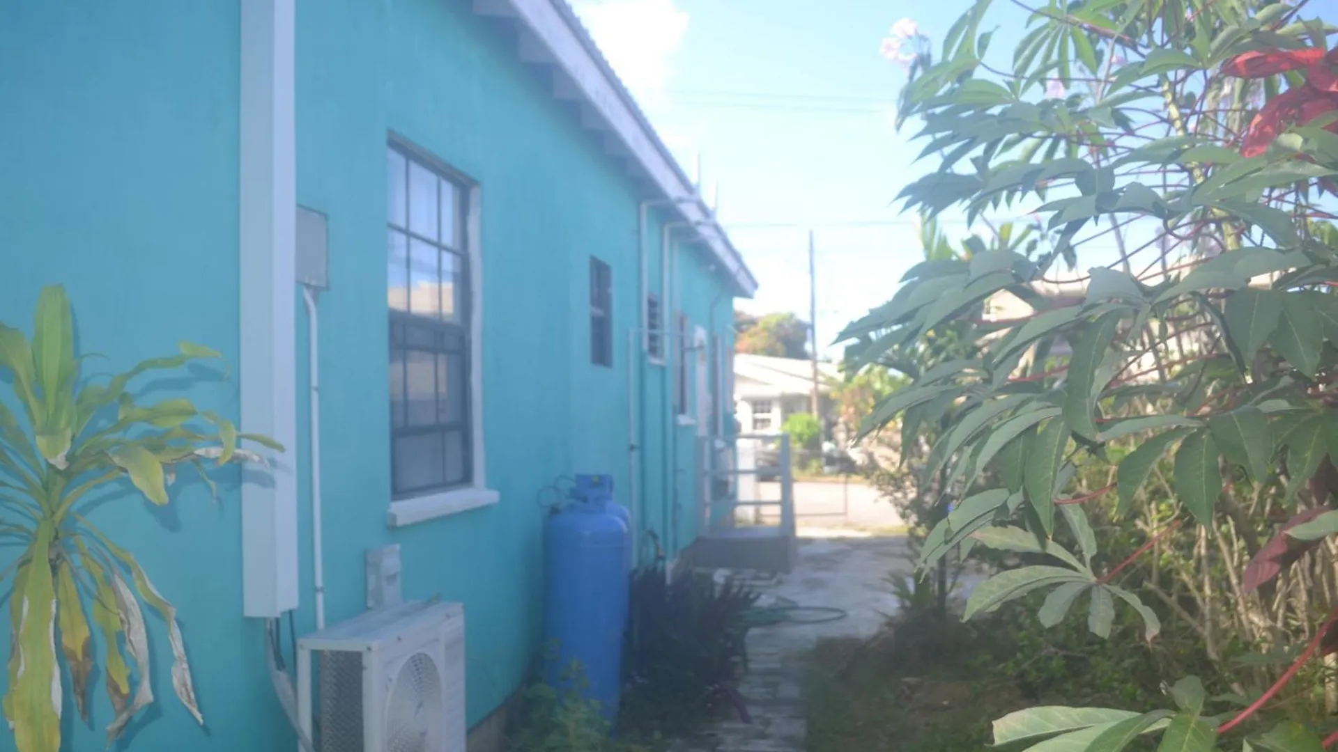 Cozy Tropical Escape No 112 Lejlighed St. Peter Barbados