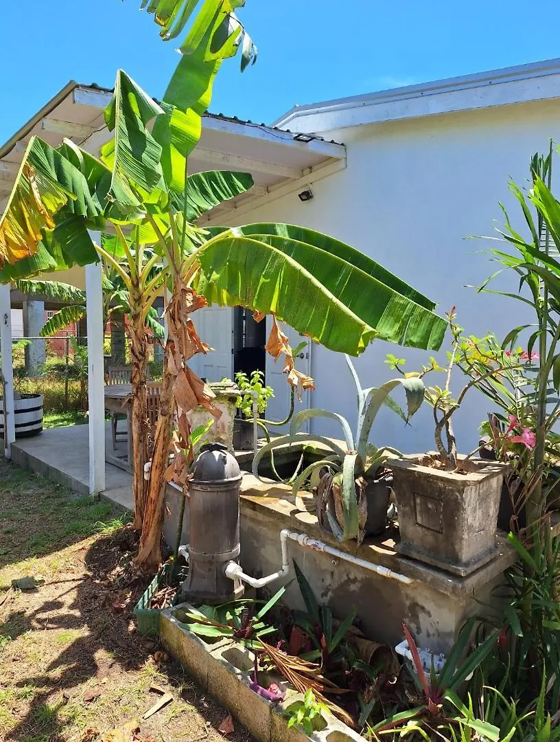 Cozy Tropical Escape No 112 Lejlighed St. Peter 0*,
