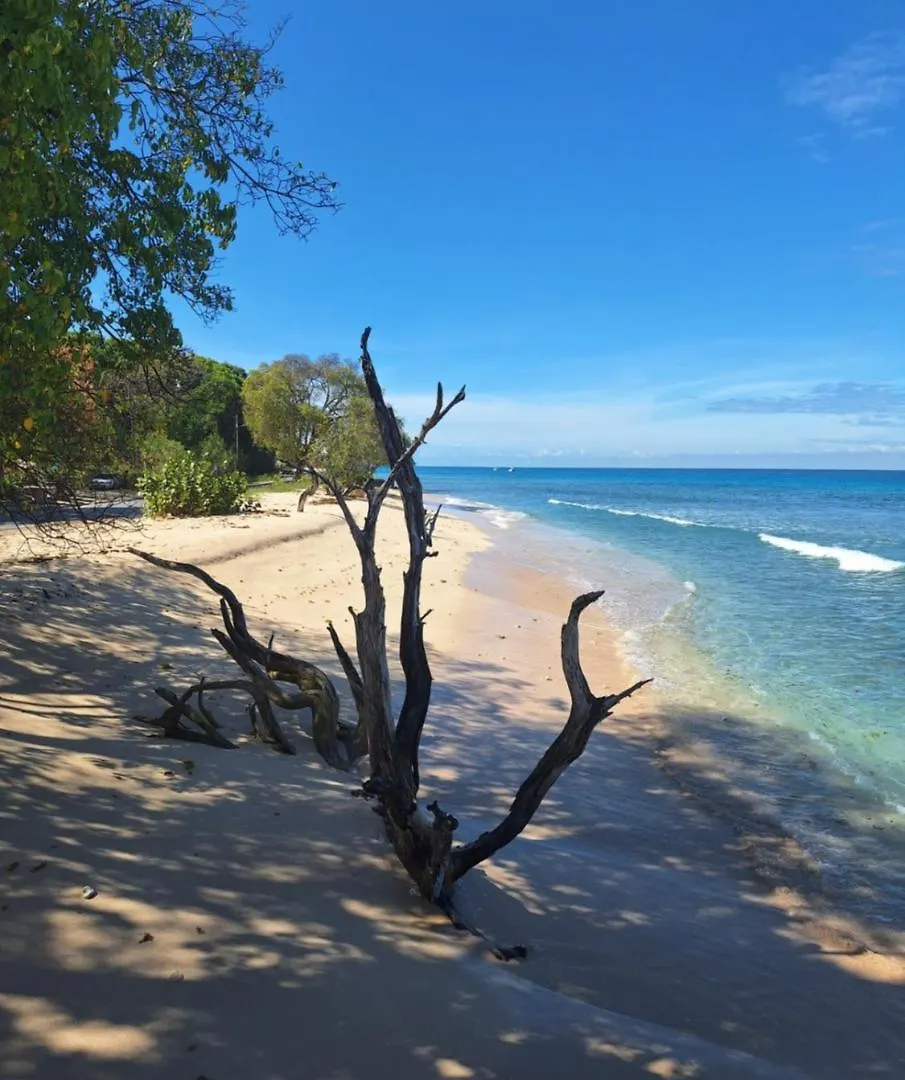 Cozy Tropical Escape No 112 Apartment Saint Peter Barbados